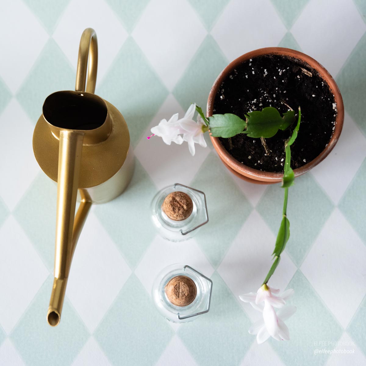 Photographe objet Essonne Gwendoline Chopineau