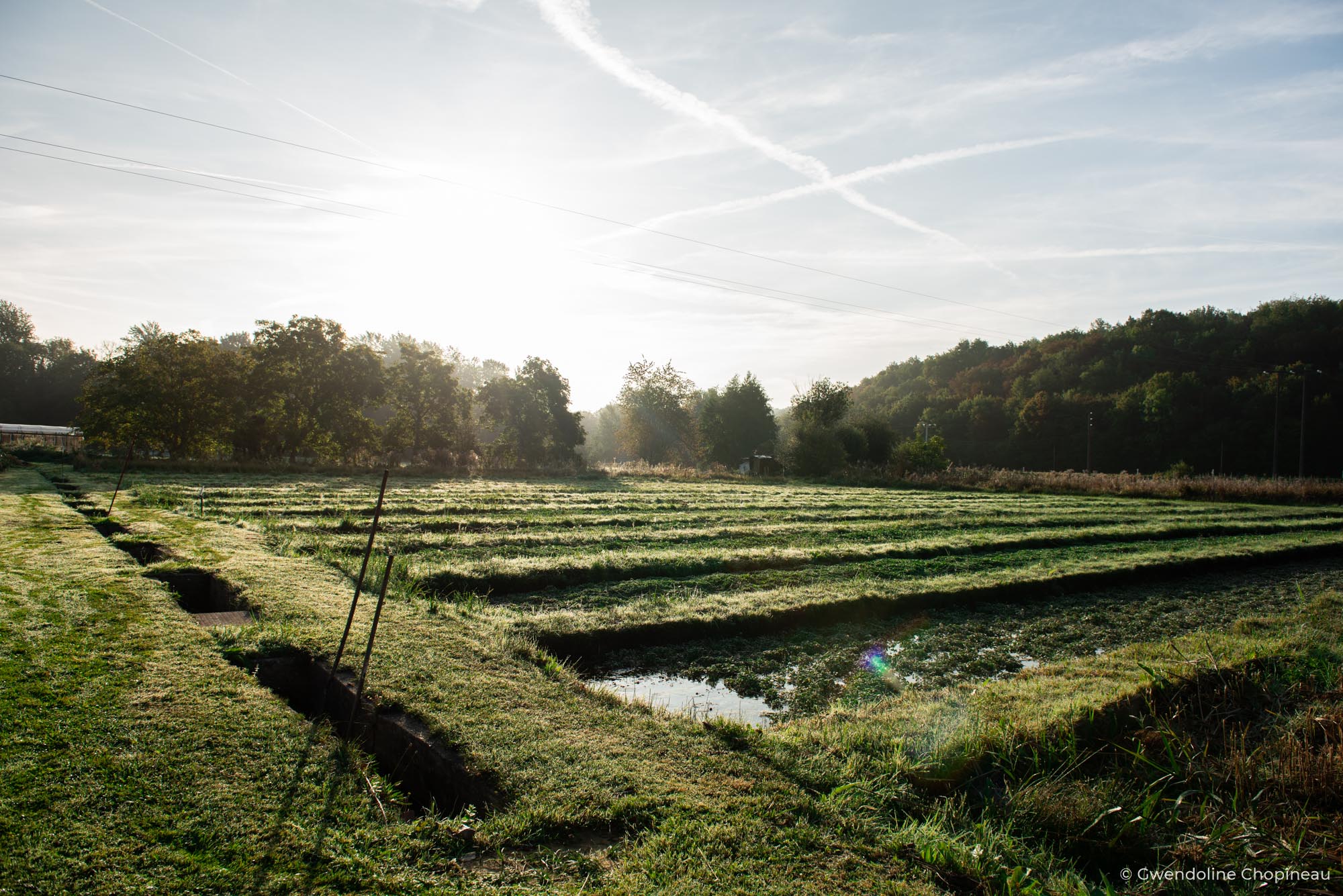 photo menuisier étape de création mdf essonne