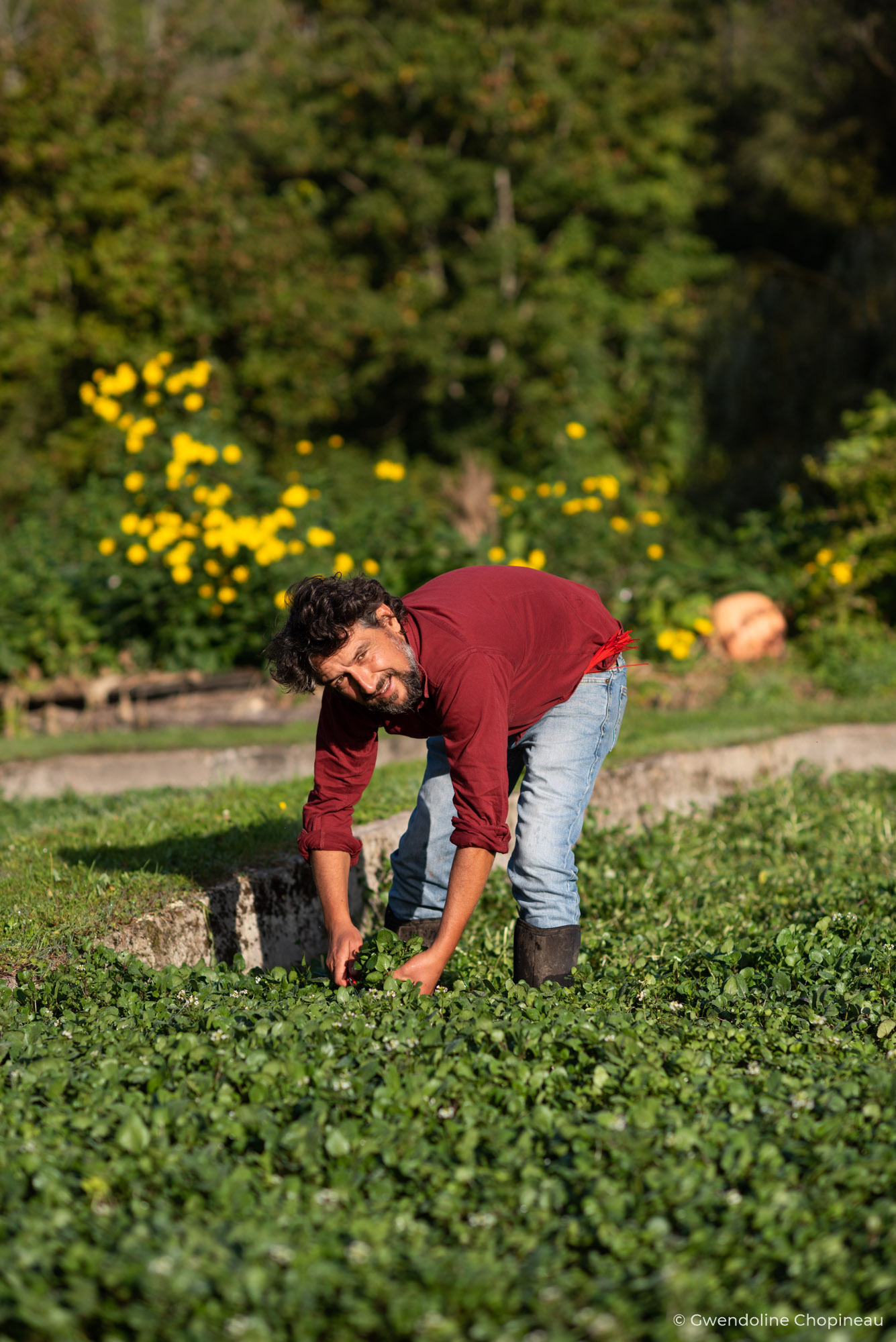 photographe agriculteur cressonniere