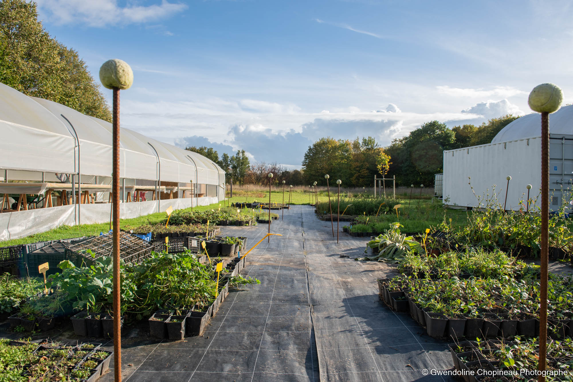 photographe idf agriculture