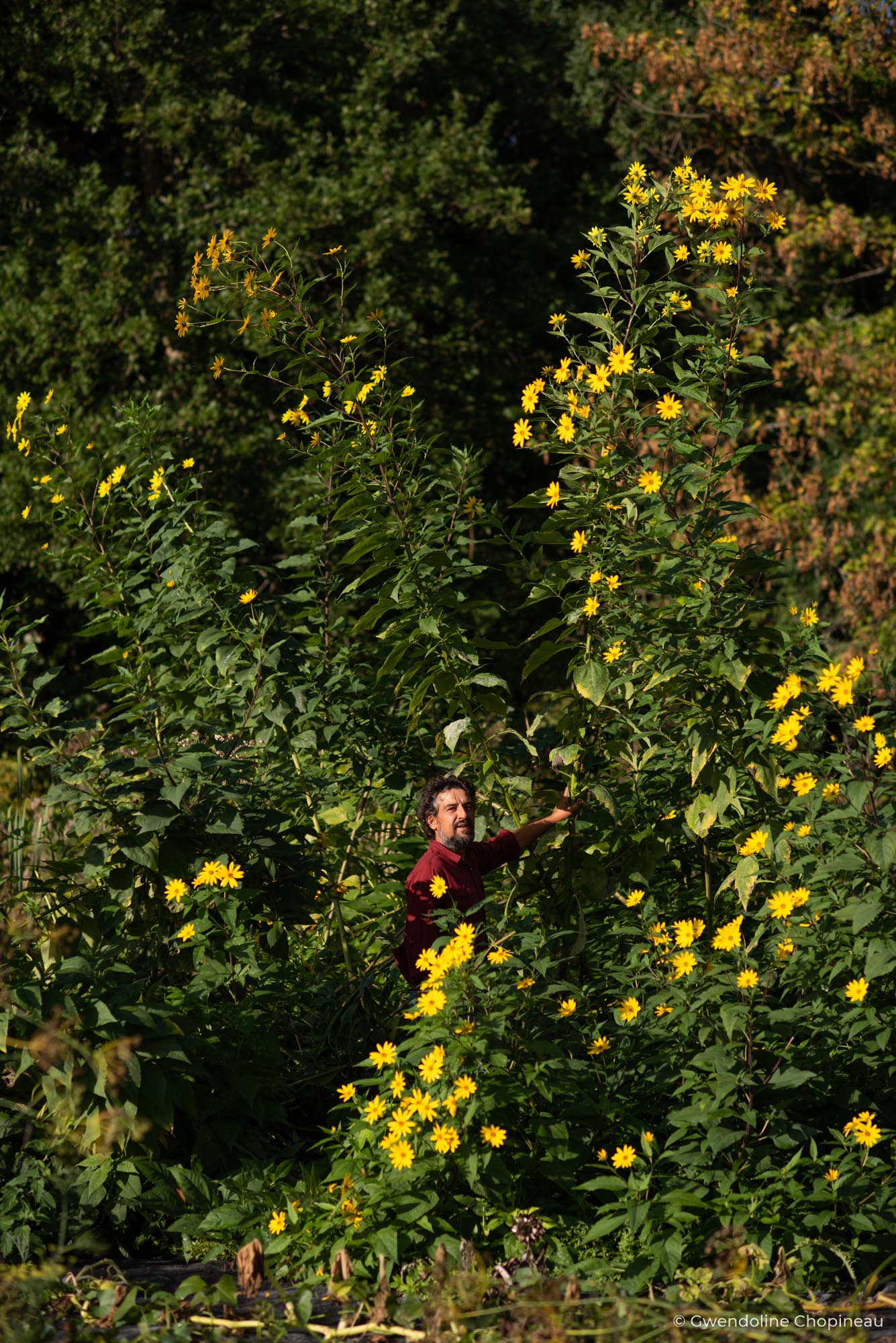 portrait agriculteur essonne gwendoline chopineau