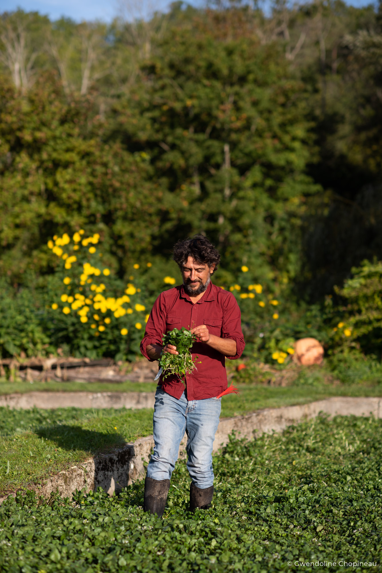 portrait paysan essonne gwendoline chopineau